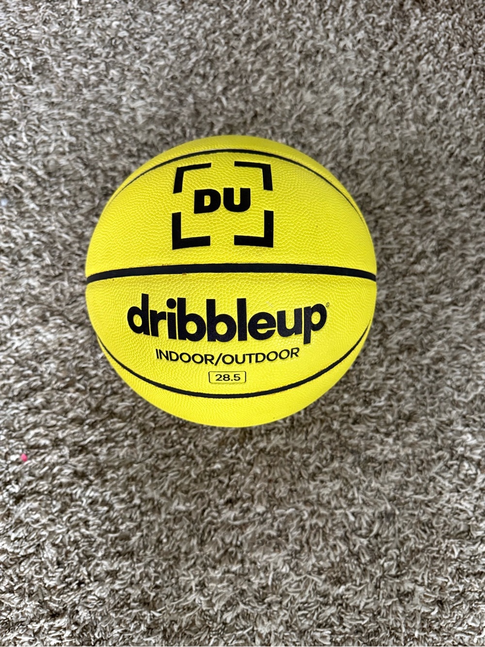Smart Indoor/Outdoor Basketball